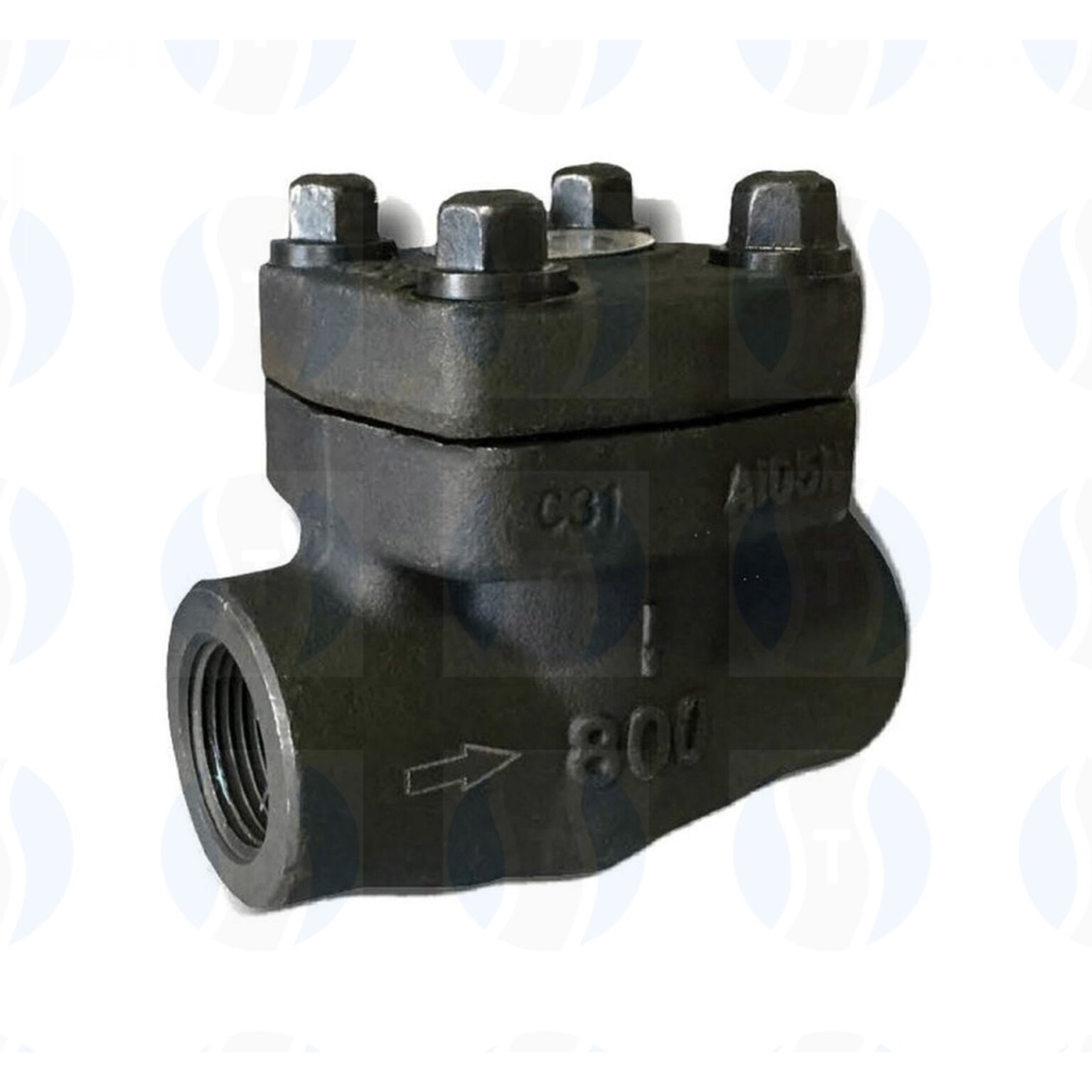Swing Check Valve - TS Flow Controls Private Limited