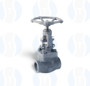 Forged Gate Valve - TS Flow Controls Private Limited