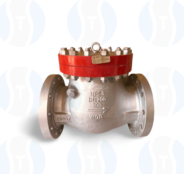 Swing Check Valve