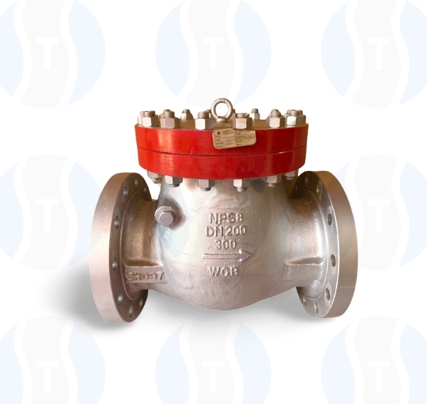 Swing Check Valve png